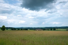 IMG_3125