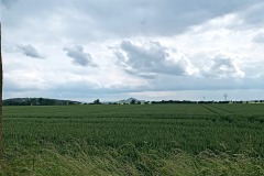 IMG_3139
