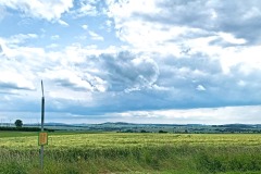 IMG_3150