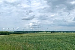 IMG_3179