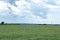 IMG_3192