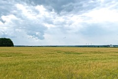 IMG_3194