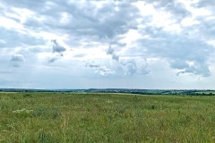 IMG_3195