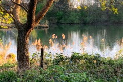 IMG_2654