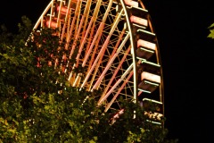 DSCF7653