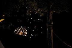 DSCF7687