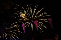 DSCF7767