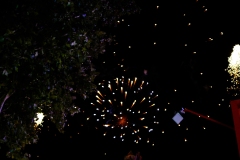 DSCF7797