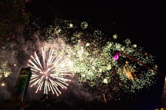 DSCF7882