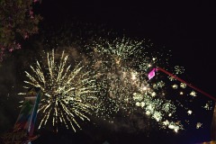 DSCF7886