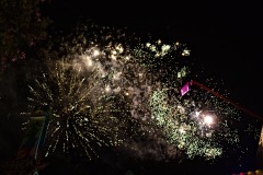 DSCF7887