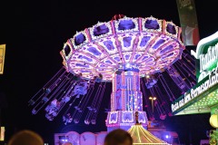 DSCF8175