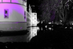 DSCF3816