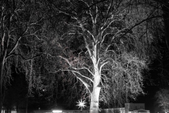 DSCF3844