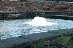 DSCF4087