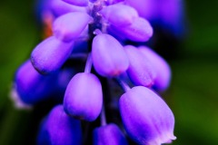 DSCF0035