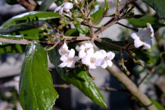 DSCF0004