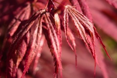DSCF0045