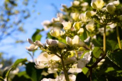 DSCF0073