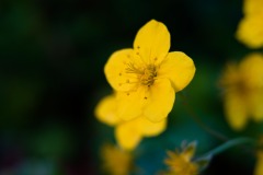 DSCF0160