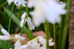 DSCF0188