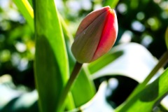DSCF0015