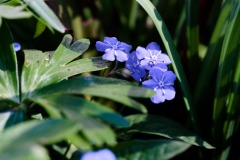 DSCF0058
