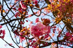DSCF0114