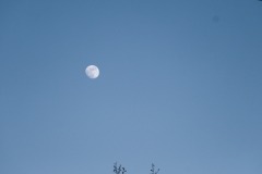 DSCF5702