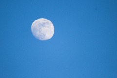DSCF5707