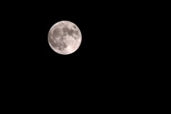 DSCF5742