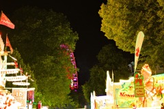 DSCF8295