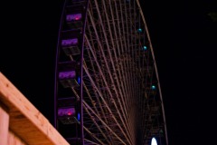 DSCF8420