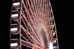 DSCF8433