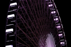 DSCF8440