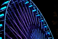 DSCF8452