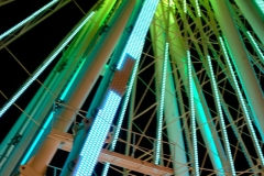 DSCF8458