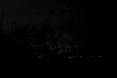 DSCF3222